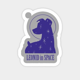 Leonid in Space Sticker